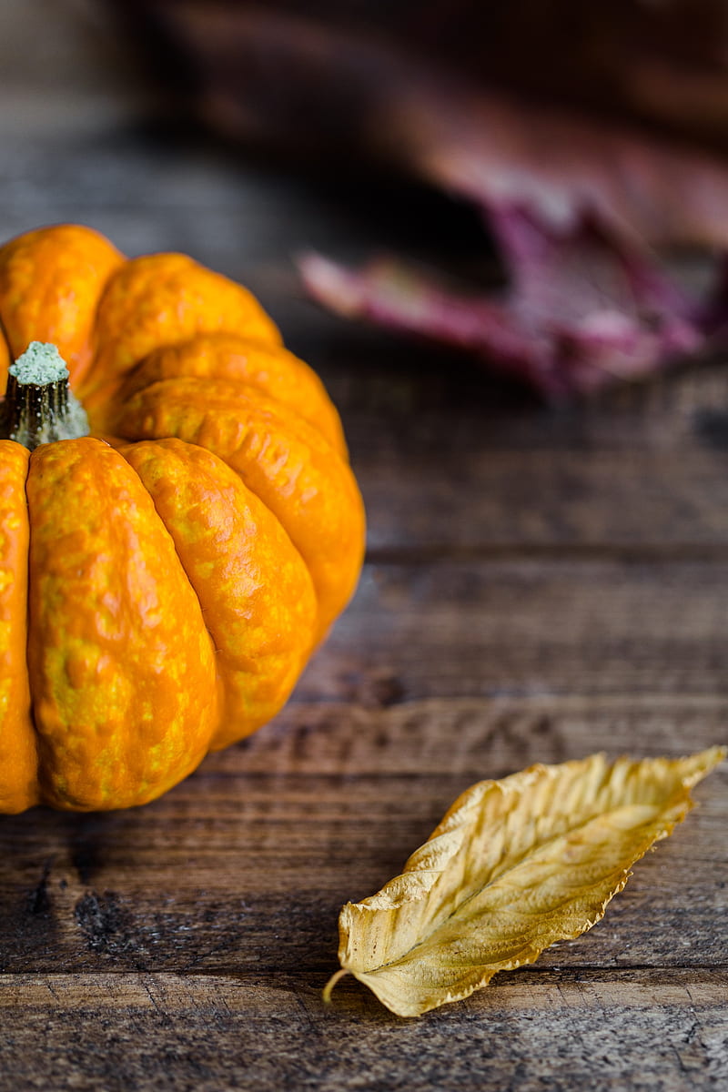 pumpkin, vegetable, table, autumn, HD phone wallpaper