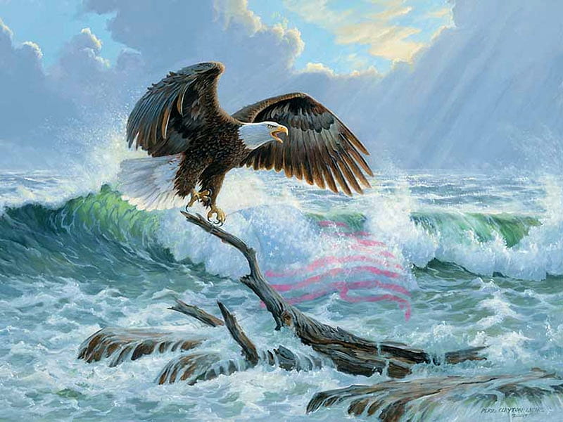 Eagle at the Sea, water, bald eagle, painting, raptor, waves, artwork, HD wallpaper