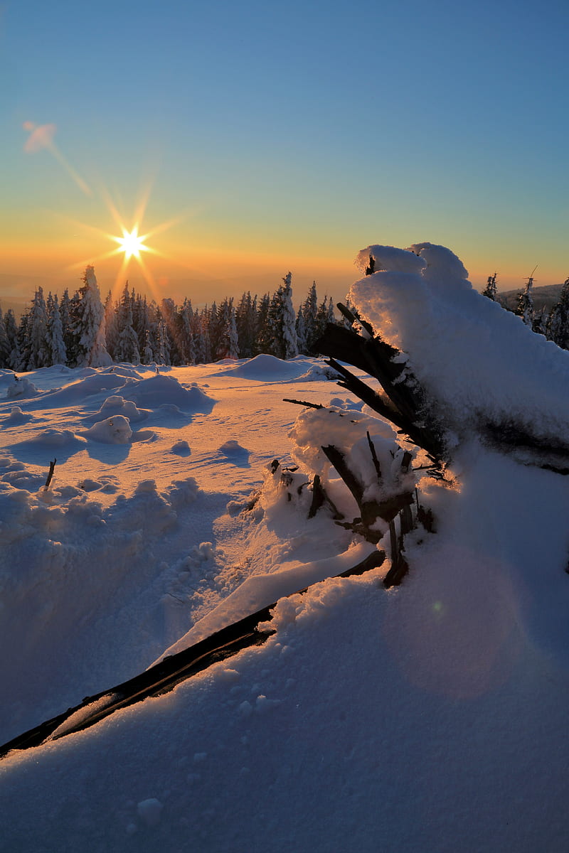 winter, snow, sunset, drifts, trees, HD phone wallpaper