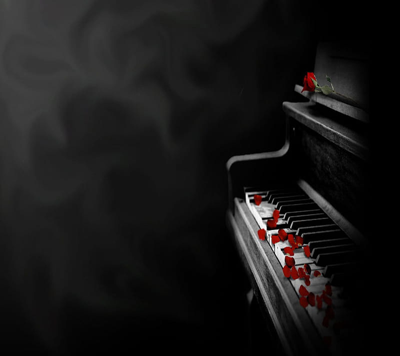 Piano, black, petals, rose, HD wallpaper