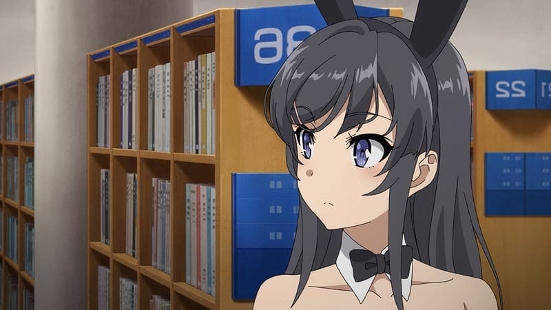 Anime, Rascal Does Not Dream of Bunny Girl Senpai, HD wallpaper | Peakpx