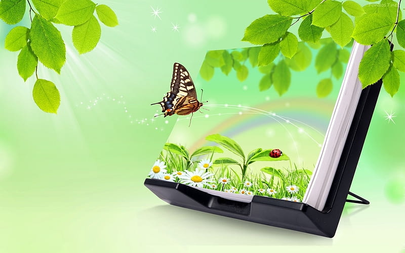 Wonderful Life, leaves, butterfly, green, book, ladybird, HD wallpaper