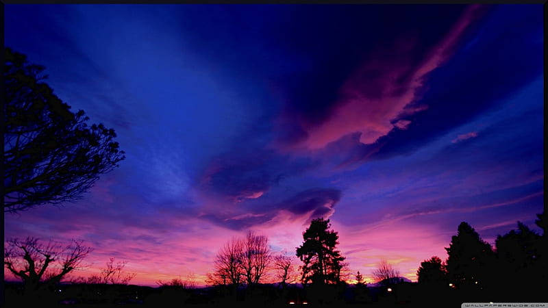 Amazing Violet Sky, nature, violet, trees, sky, pink, blue, HD wallpaper