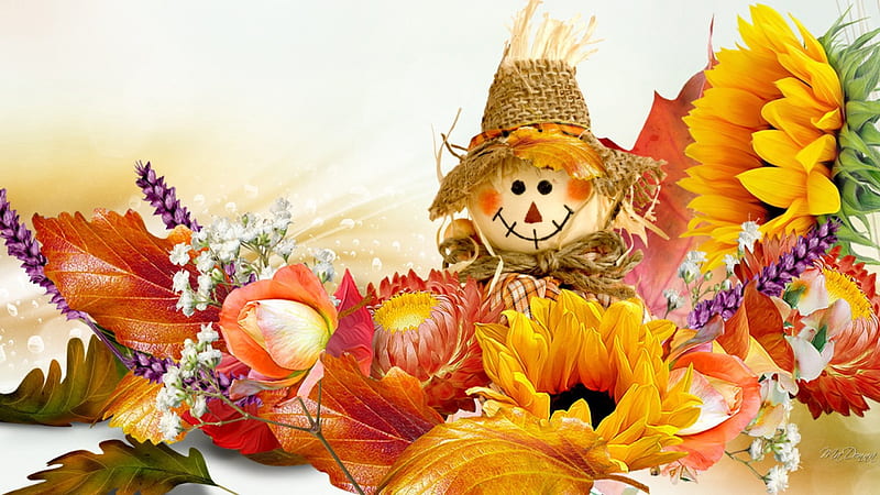 Fall Basics, fall, autumn, orange, rose, scarecrow, smile, doll, happy, leaves, gold, sunflowers, flowers, HD wallpaper