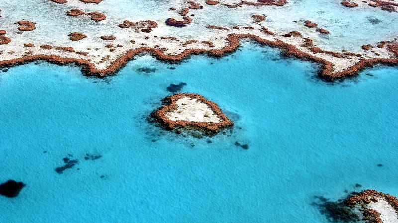 Heart reef, Great Barrier Reef, Heart Reef, Great Barrier Reef, Australia, Reef, HD wallpaper
