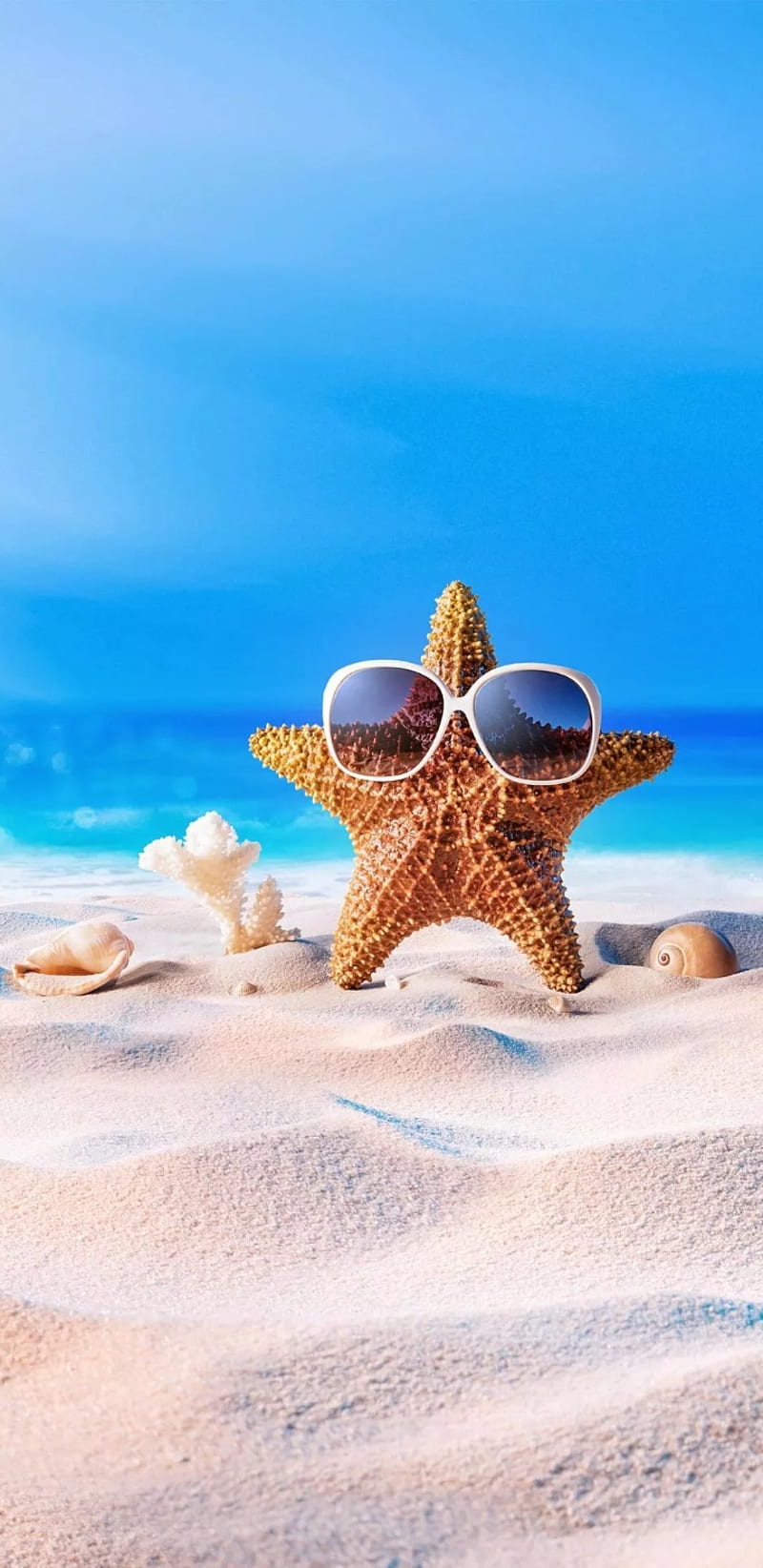 star fish , beach, cute, goggles, landscape, sea, seashore, silica, sky, starfish, tropical, HD phone wallpaper