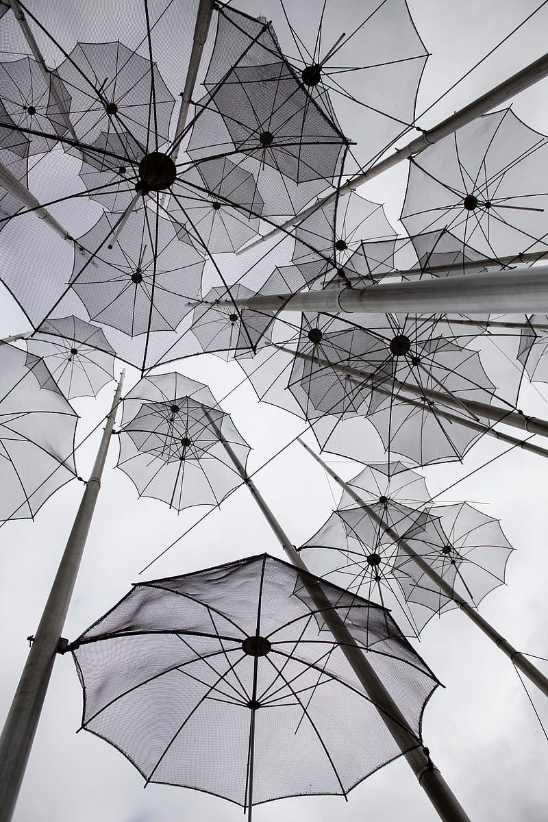 umbrellas, decoration, bw, gray, HD phone wallpaper