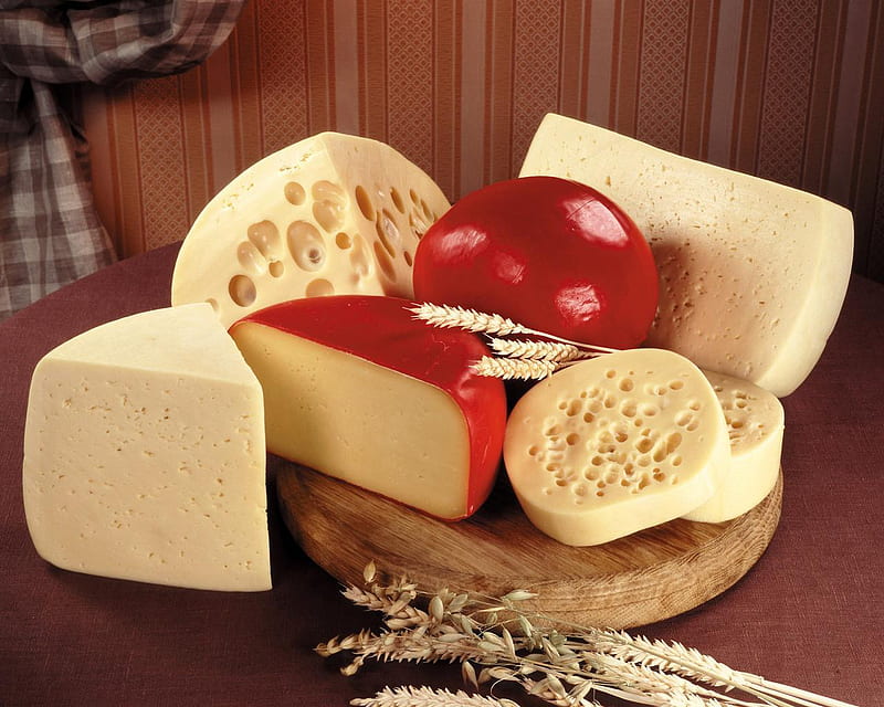 Let's Have Some Cheese and Crackers, wax, holes, seal, wedges, life, cheese, still, tasty, HD wallpaper