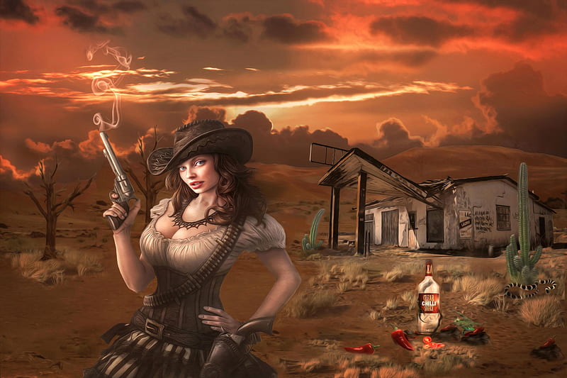 https://w0.peakpx.com/wallpaper/124/103/HD-wallpaper-cowgirl-ranch-pistol-hats-cowgirl-ranch-digital-art-women-brunettes-fantasy-nra-western.jpg