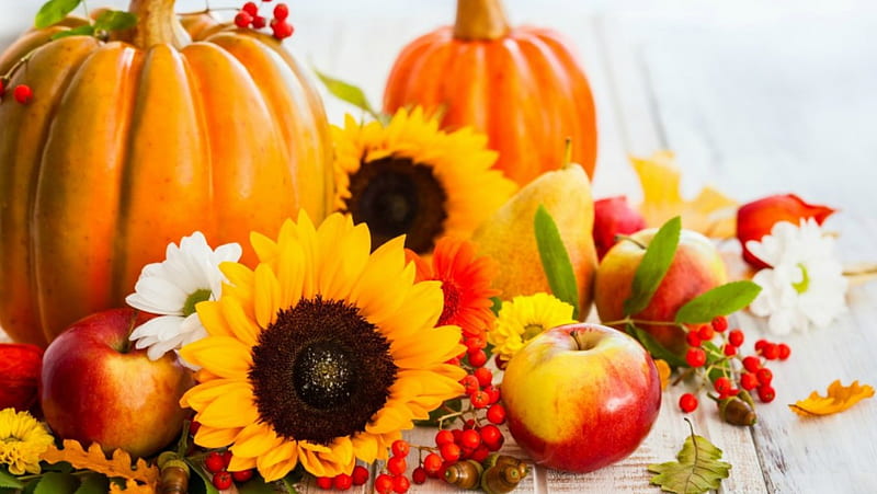 Autumn Harvest, Fall, pear, acorns, apples, fruit, still life, nuts, leaves, sunflowers, berries, flowers, Autumn, pumpkins, HD wallpaper