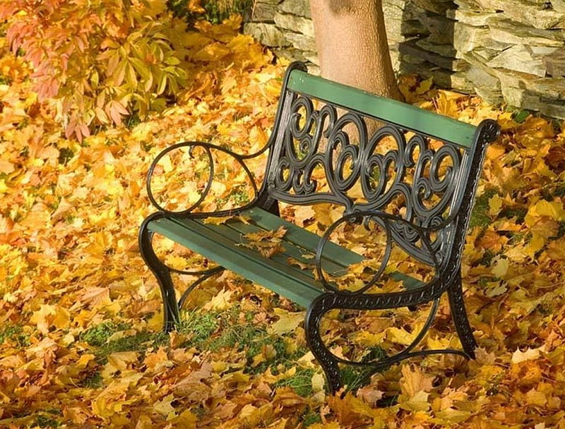 park bench, autumn, leaves, bench, beauty, park, HD wallpaper