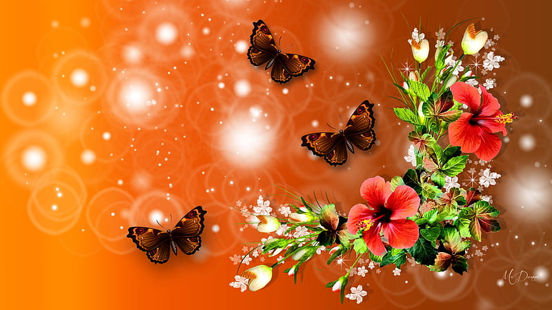 Orange Hibiscus, orange, butterflies, hisbiscus, spring, buds, dainty, lights, leaves, bokeh, blossoms, summer, Firefox Persona theme, HD wallpaper