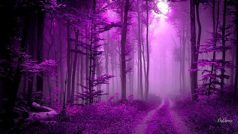 Path in Purple Forest, Firefox theme, forest, woods, trees, fantasy, leaves, purple, flowers, light, HD wallpaper