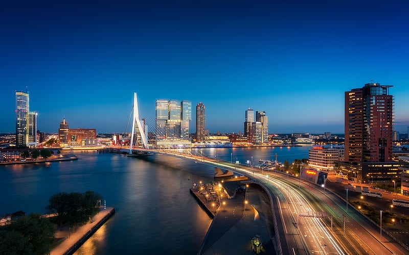 Erasmus Bridge, Rotterdam, cable-stayed bridge, river Maas, night, cityscape, Erasmusbrug, Netherlands, Holland, HD wallpaper