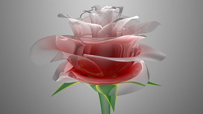 kristal roos, roos, kristal bloem, cristal rose, HD wallpaper
