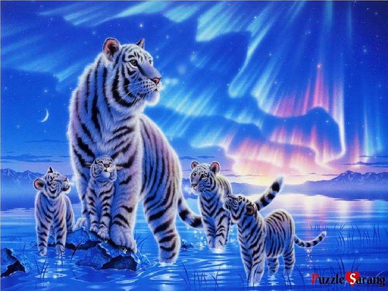 White Tiger Family, fantasy, white tigers, cubs, abstract, cats, big cats, animals, HD wallpaper