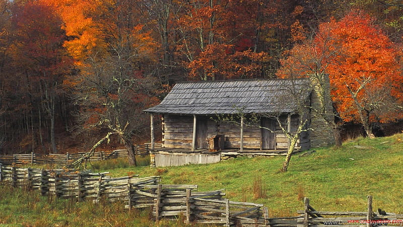 Autumn Fall Color Kentucky Country Log Cabin Brightly. Background, HD wallpaper