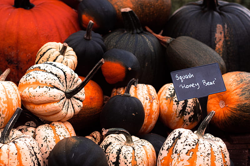 Black and orange pumpkins, HD wallpaper | Peakpx