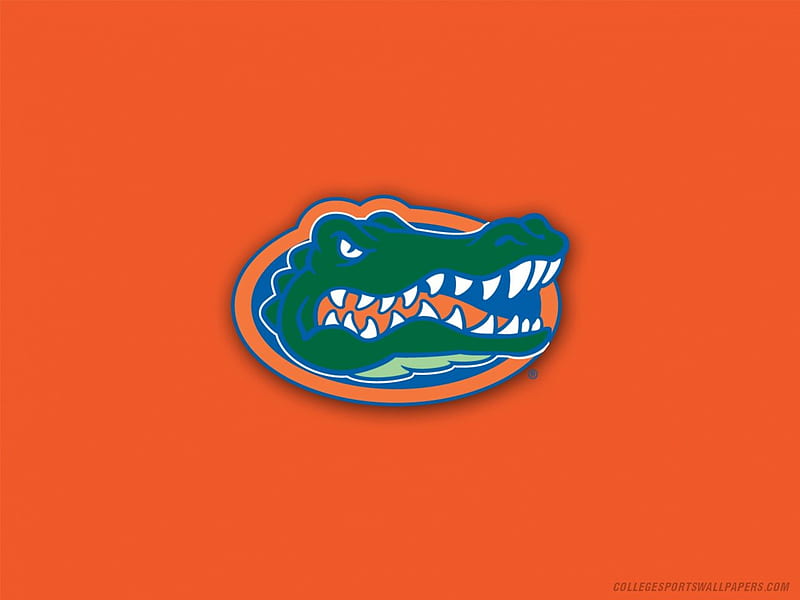 Florida Gators, florida, gators, university, teams, HD wallpaper