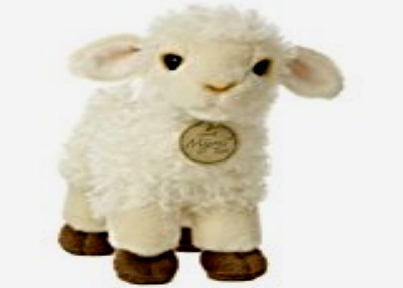 Lamb Plushy, Plushy, White, Lamb, Soft, Sheep, HD wallpaper