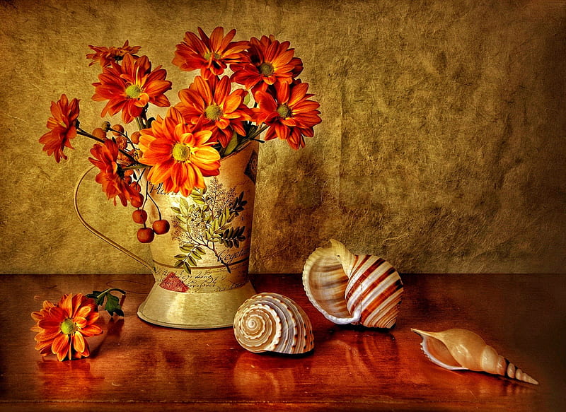 Still life, red, pretty, orange, vase, bonito, nice, flowers, harmony, table, lovely, fresh, delicate, wall, freshness, daisies, petals, shells, reflections, HD wallpaper