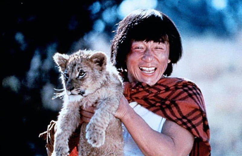 Jackie Chan and lion, cub, held, looks, away, HD wallpaper