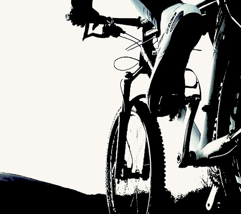 Wallpapers | Santa Cruz Bicycles