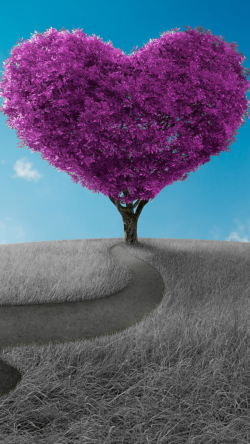 tree of heart, pink, black and white, bw, blue sky, grass, love, heart shape, road, HD phone wallpaper