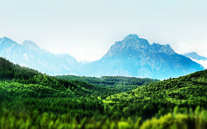 mountain forest tilt shift-Natural beauty, HD wallpaper