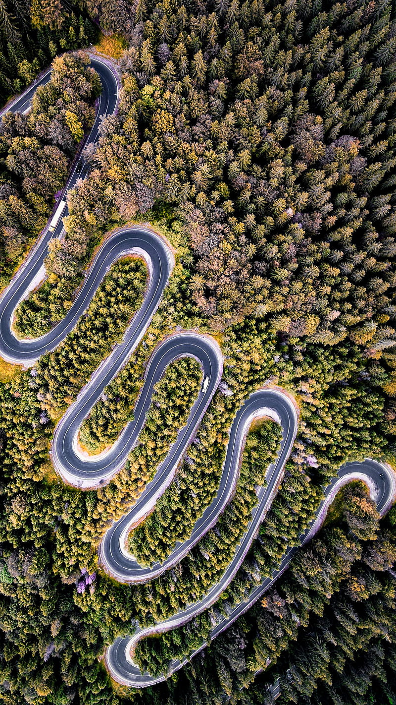 Snake road, air, curves, nature, road, trees, HD phone wallpaper