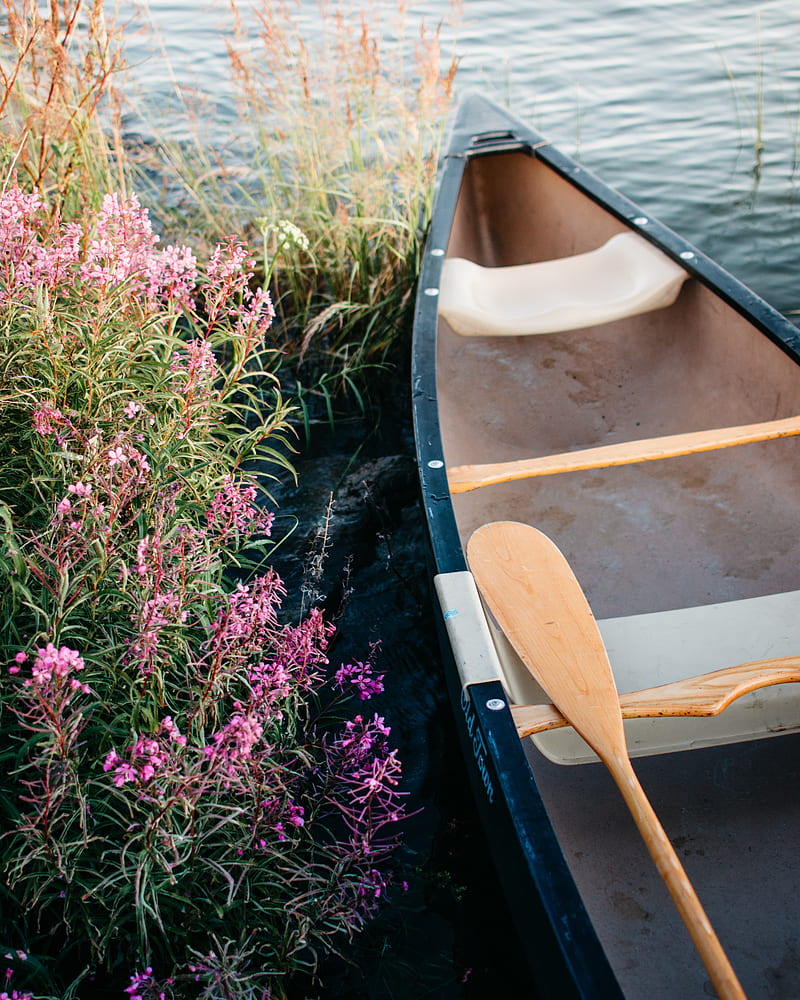 boat, paddle, coast, flowers, water, HD phone wallpaper
