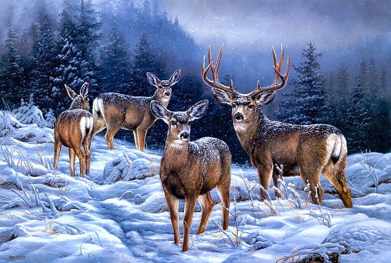 Broken Silence - Mule Deer, broken, silence, painting, deer, winter, forest, art, bonito, mountain, snow, animals, HD wallpaper