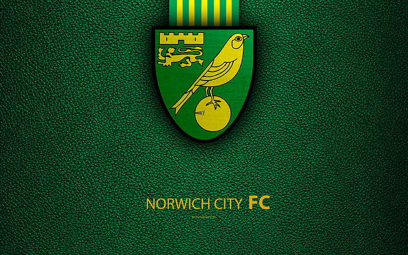 Norwich City FC English Football Club, logo, Football League Championship, leather texture, Norwich, UK, EFL, football, Second English Division, HD wallpaper