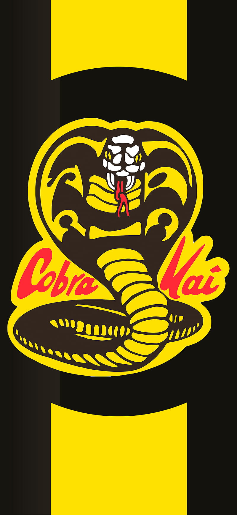 Cobra Kai, karate, netflix, no mercy, HD phone wallpaper