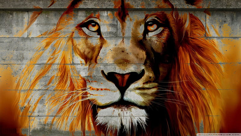 lion, feline, cat, wall, HD wallpaper