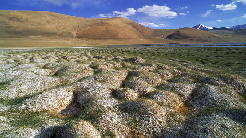 tussocks of permafrost in ladakh india, pond, hills, bumps, mountains, HD wallpaper