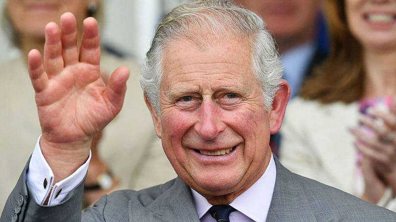 Prince Charles' finger condition explored as of swollen hands go viral, HD wallpaper