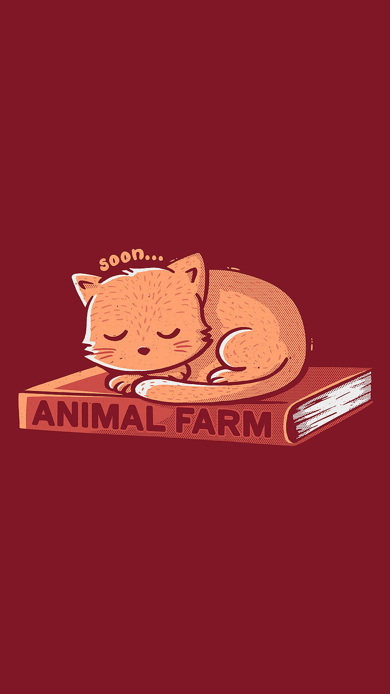Animal Farm, Bookworm, Lazy, animals, book, cat lovers, cats, kitty, HD phone wallpaper