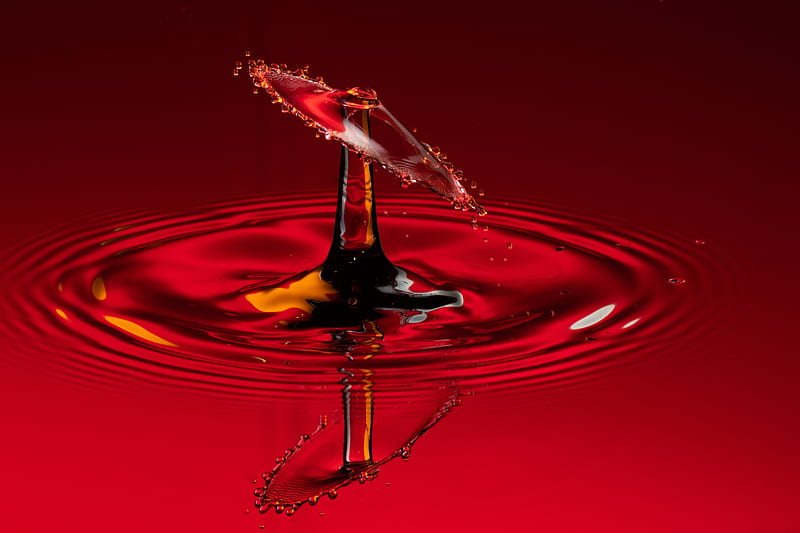 drop, splash, macro, red, liquid, HD wallpaper