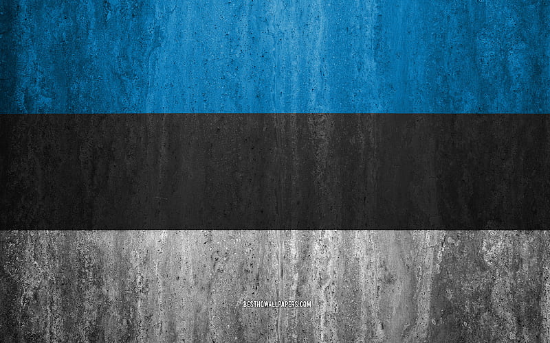 Flag of Estonia stone background, grunge flag, Europe, Estonia flag, grunge art, national symbols, Estonia, stone texture, HD wallpaper