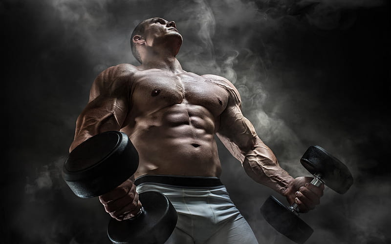Sports, Bodybuilding, Muscle, Man, HD wallpaper