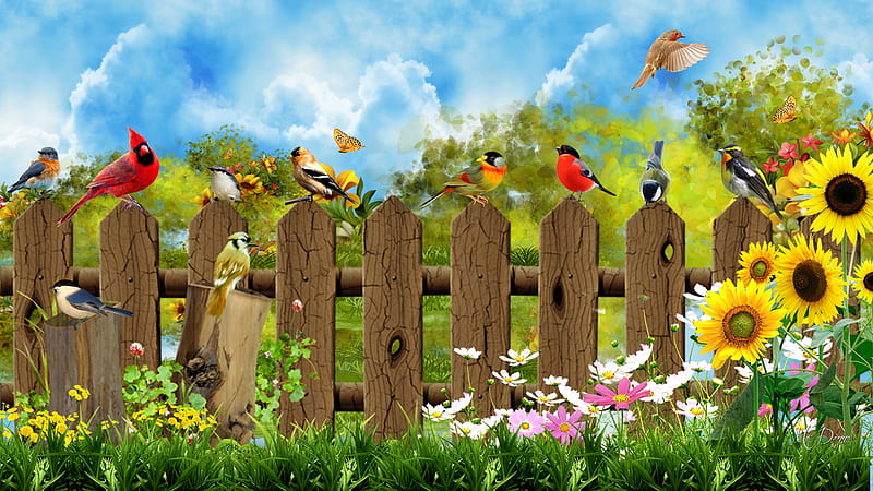 MaDonna's Garden Fence, fence, birds, spring, sky, sunflowers, summer, flowers, garden, Firefox Persona theme, HD wallpaper