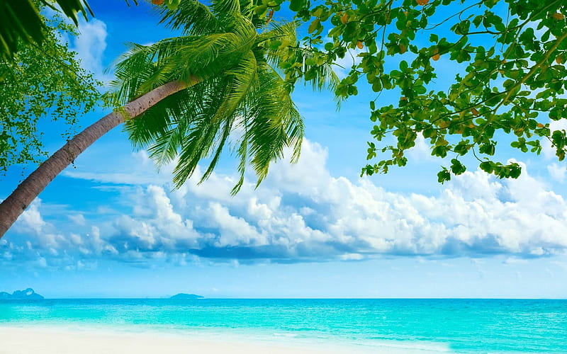 tropical beach resorts-Island travel landscape graphy, HD wallpaper