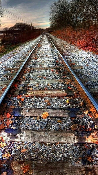 Fall, autumn, nature, road, track, train, HD phone wallpaper | Peakpx