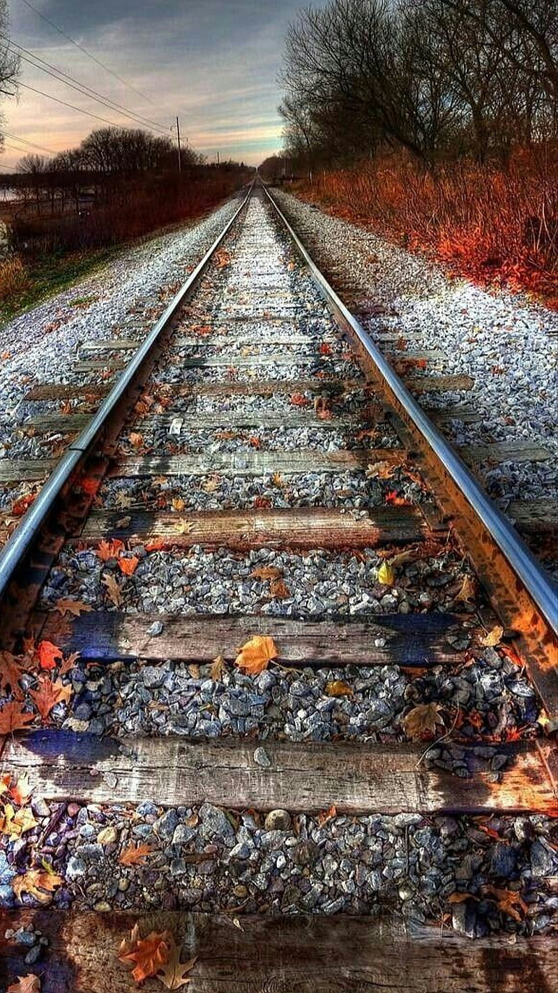 Fall, autumn, nature, road, track, train, HD phone wallpaper