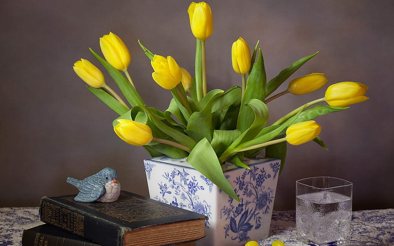 Tulip Still Life, tulips, books, still life, glass, bird, yellow, HD ...