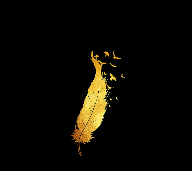 Gold feather, HD wallpaper | Peakpx