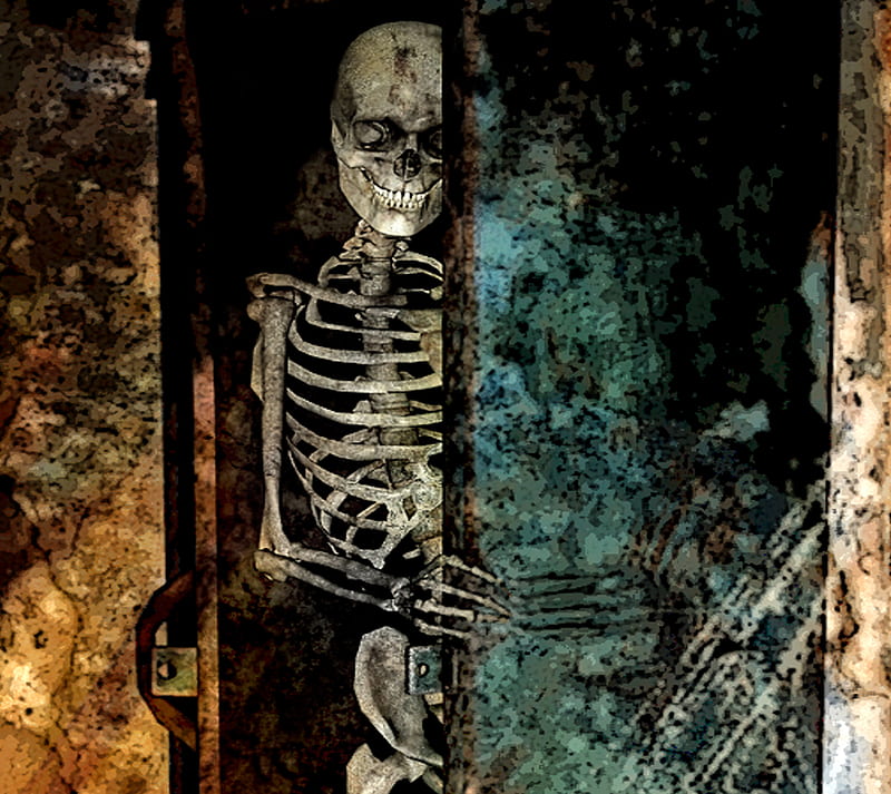 Whats in Your Closet, halloween, horror, skeleton, HD wallpaper