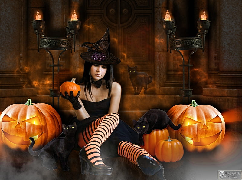 ~Halloween Party~, witch, dress, halloween, softness beauty, digital art, women, hair, fantasy, beautiful girls, spooky, manipulation, girls, halloween party, model, creative pre-made, hat, candles, medieval, stockings, weird things people wear, backgrounds, cats, shoes, pumpkins, HD wallpaper