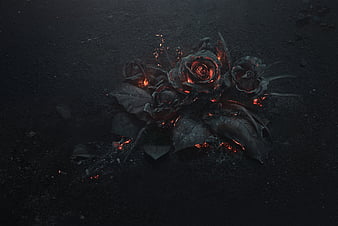 Burning Roses, rose, flowers, fire, dark, HD wallpaper